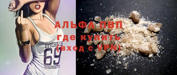 крисы Баксан