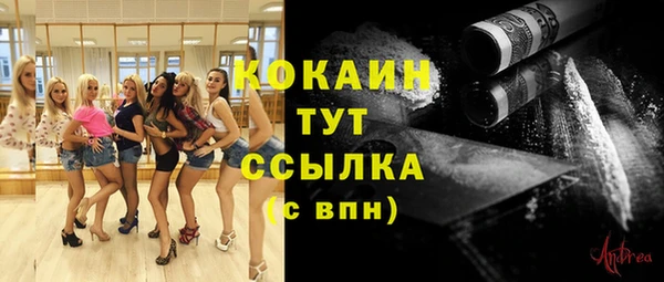 крисы Баксан