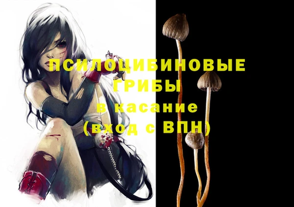 крисы Баксан
