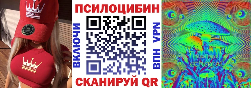 Галлюциногенные грибы Psilocybine cubensis  Петровск-Забайкальский 